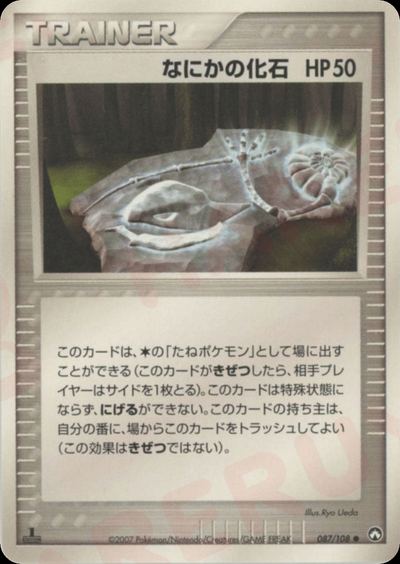 なにかの化石