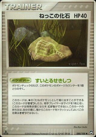 ねっこの化石