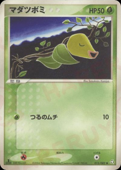 マダツボミ