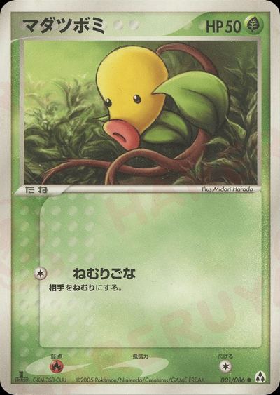マダツボミ