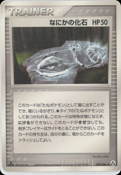 なにかの化石
