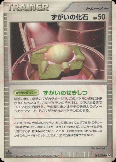 ずがいの化石