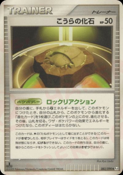 こうらの化石