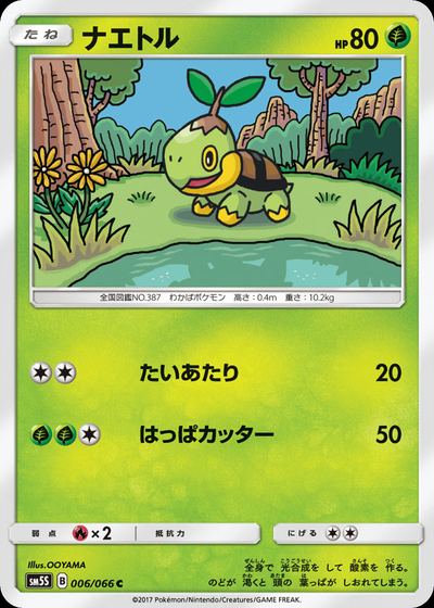 ナエトル