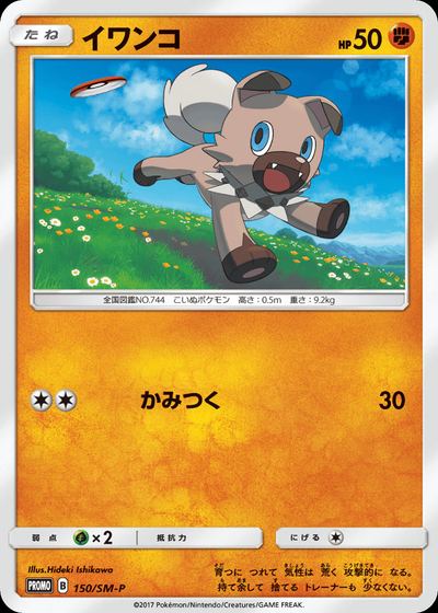 イワンコ