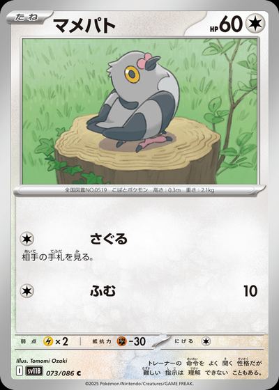 マメパト