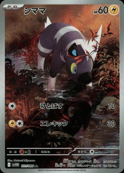 シママ