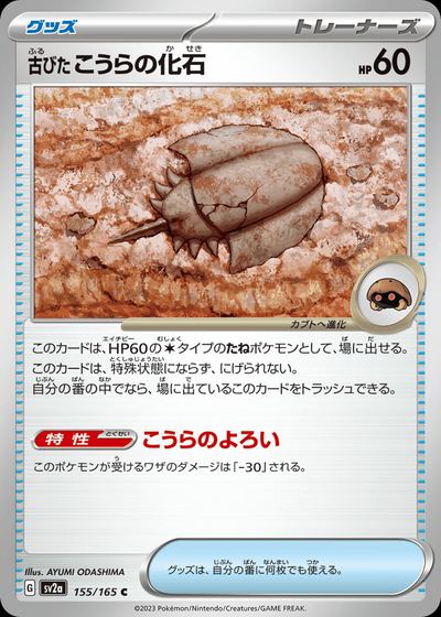 古びたこうらの化石