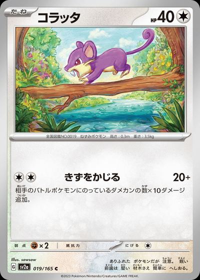 コラッタ
