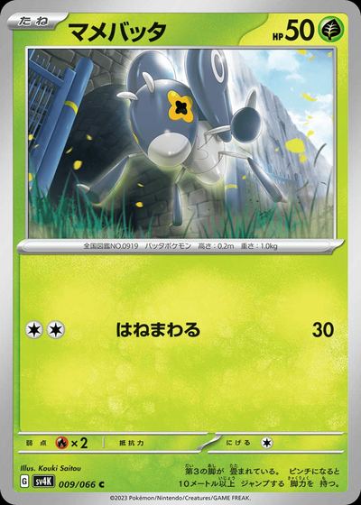 マメバッタ