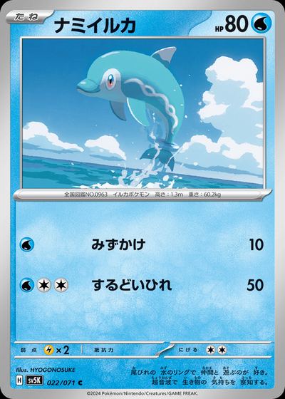 ナミイルカ