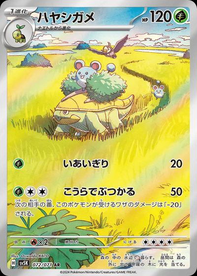 ハヤシガメ