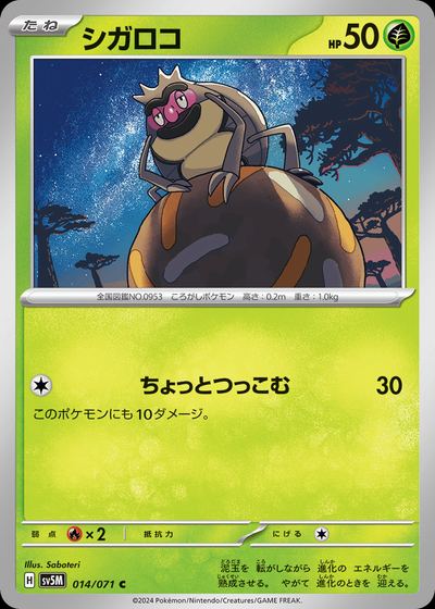 シガロコ