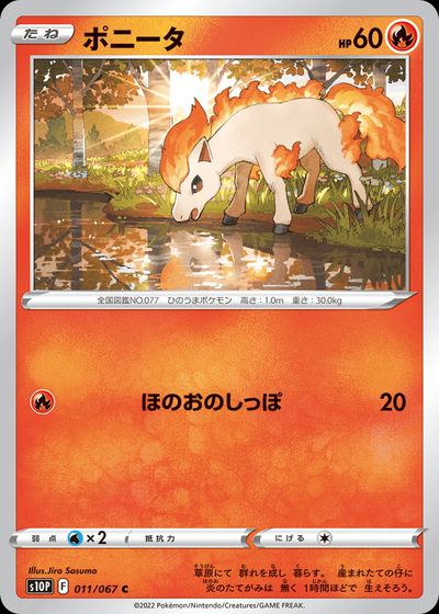 Ponyta