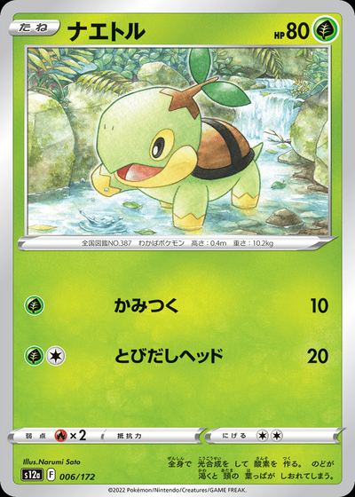Turtwig