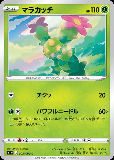 Maractus