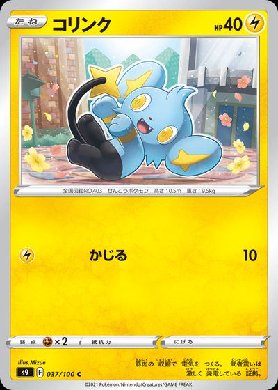 Shinx