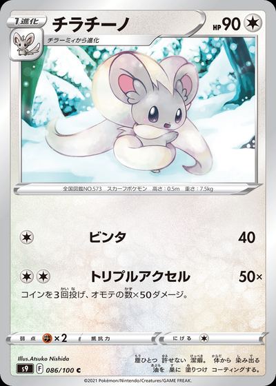 Cinccino