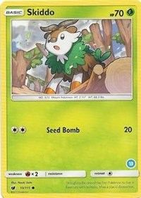 Skiddo