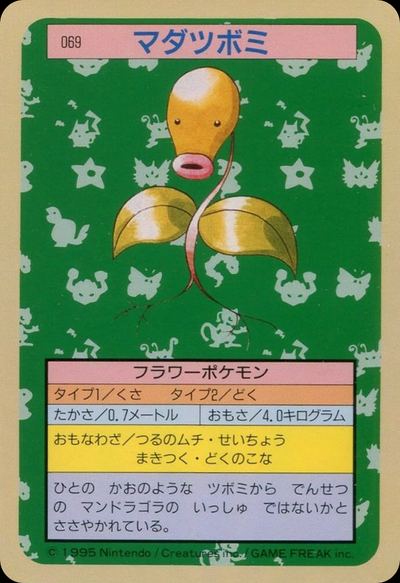 マダツボミ