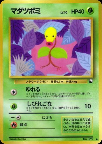 マダツボミ