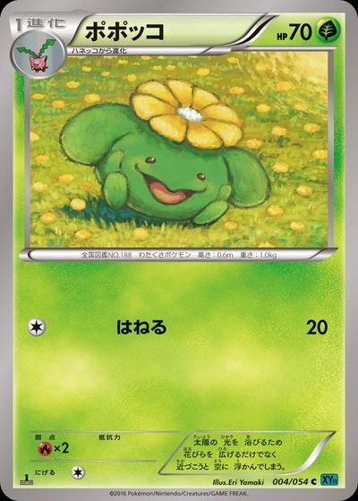 Skiploom