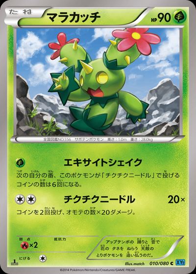 マラカッチ