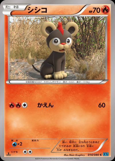 シシコ
