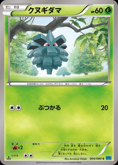 クヌギダマ