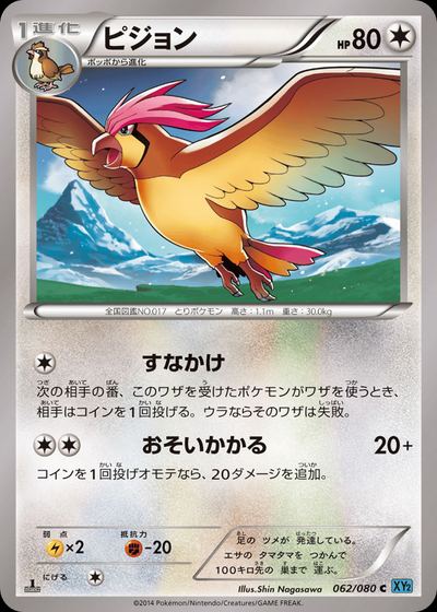 ピジョン