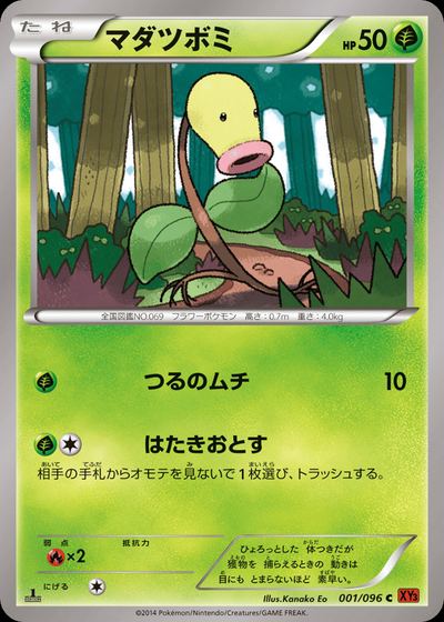 マダツボミ