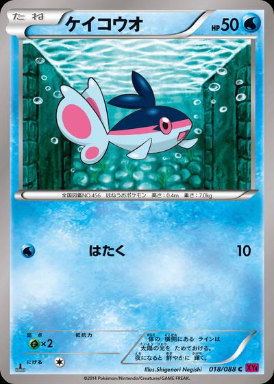 ケイコウオ