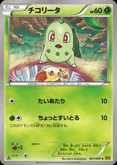 チコリータ